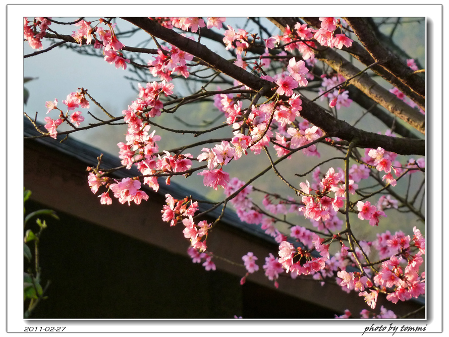 http://i.dcview.tw/gallery/201103/d0630a273be3f31cda583b10145adbfe.jpg