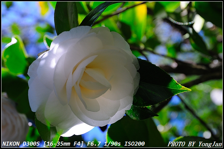 http://i.dcview.tw/gallery/201103/d2e55765fe663775e9a98ab11fe082be.jpg