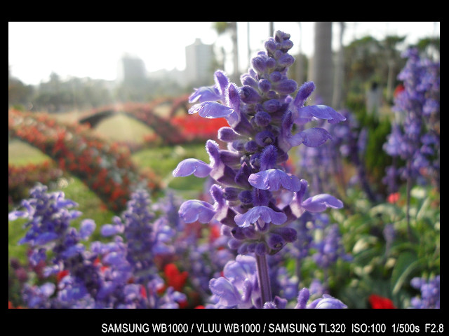 http://i.dcview.tw/gallery/201103/d37e68d54f3b6e80b3a05ab95c84811f.jpg