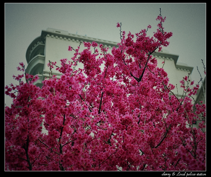 http://i.dcview.tw/gallery/201103/d5c89540b8744359e7d3e4989f643cc9.jpg