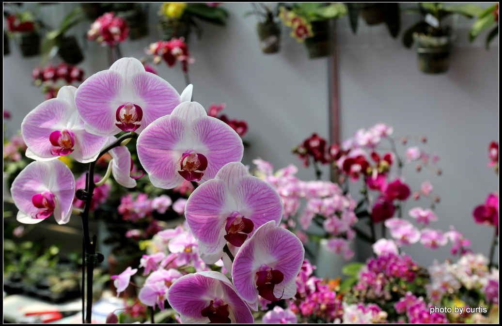 http://i.dcview.tw/gallery/201103/d7bfefa3173be0778d46d1708eb09976.jpg