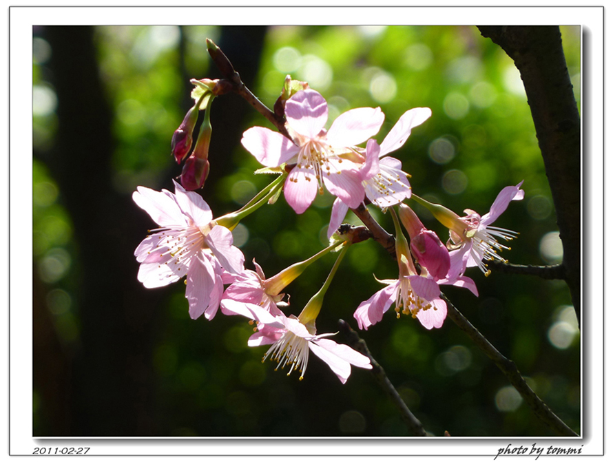 http://i.dcview.tw/gallery/201103/d9e54bd889a5ea815950d84638c7ccad.jpg