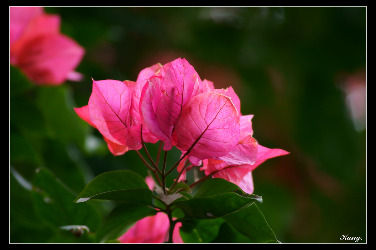 http://i.dcview.tw/gallery/201103/da7e18af902c6cbe3cb83b1d964c67ec.jpg