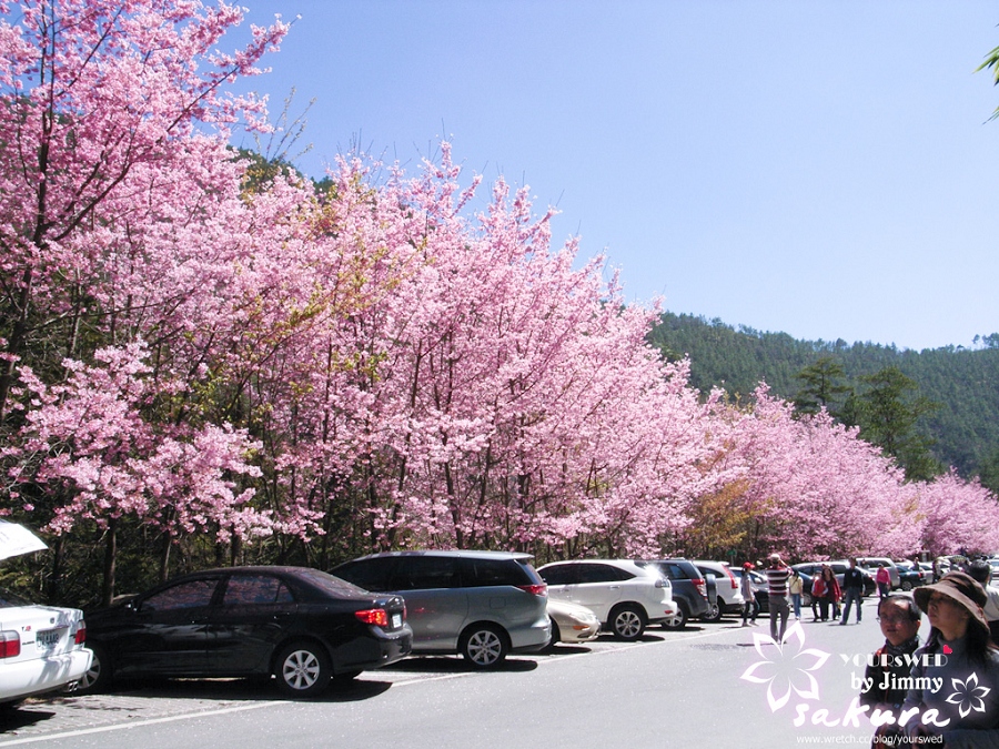 http://i.dcview.tw/gallery/201103/dddcd3caa4a3bfbe372200c8a62f1422.jpg
