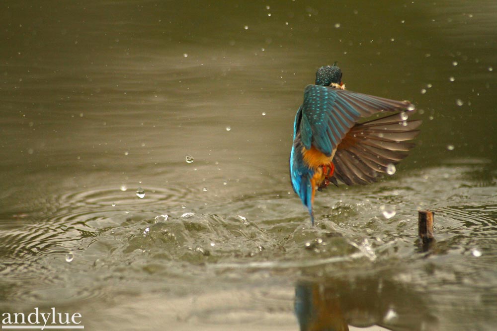 http://i.dcview.tw/gallery/201103/dfd01c89a7c57abedf65815980168f9f.jpg
