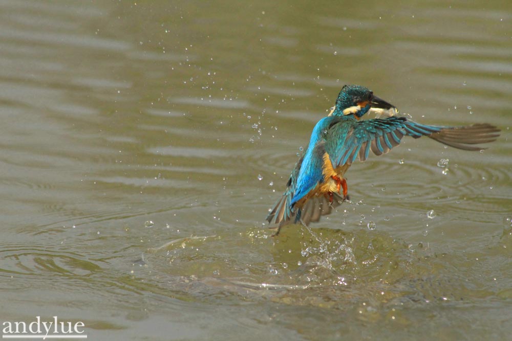 http://i.dcview.tw/gallery/201103/e0d84163c84f15d3301be6972a092e05.jpg