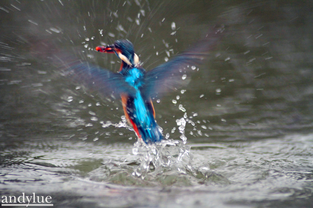 http://i.dcview.tw/gallery/201103/e2e209566c4726b1fbe58b46e3887a3f.jpg