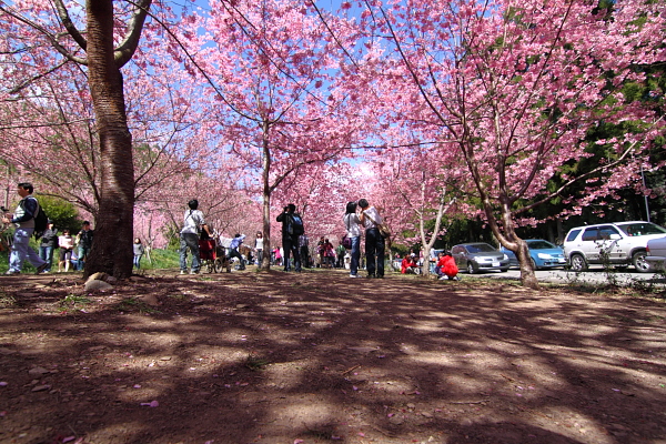http://i.dcview.tw/gallery/201103/e34a43d5f9cfbe85202d6904c06c0a72.jpg
