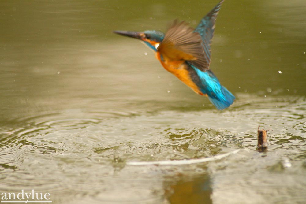 http://i.dcview.tw/gallery/201103/e41b0aeb760b6af8d1717f1f58385cc1.jpg