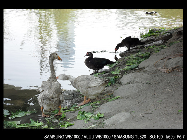http://i.dcview.tw/gallery/201103/eb49ab079e85ed9aad089060698da745.jpg