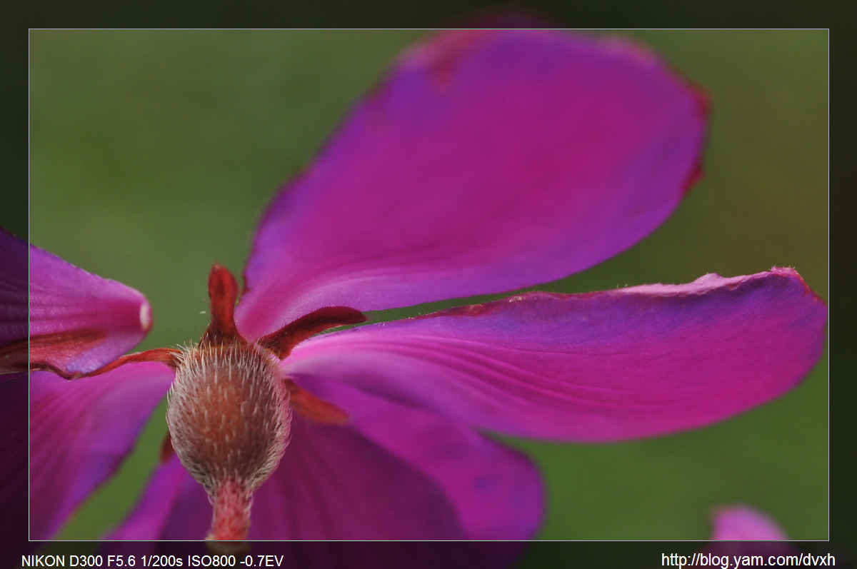 http://i.dcview.tw/gallery/201103/ebc0e263c653fff8dd960530046ef49c.jpg