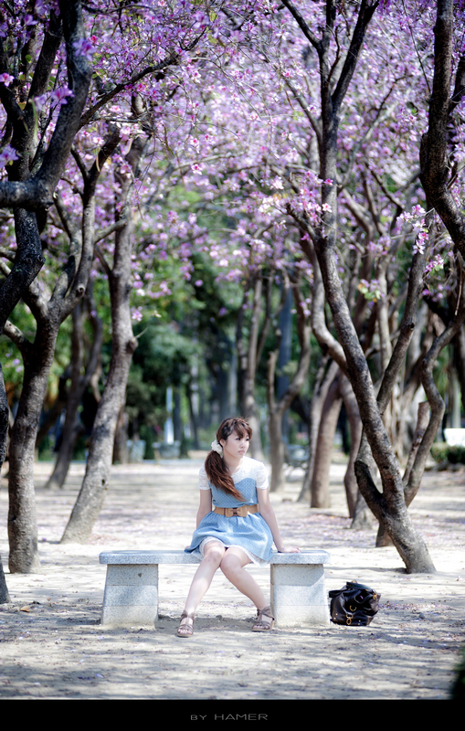 http://i.dcview.tw/gallery/201103/ebcf3c9a1af4c7ed03e18da10cc47d05.jpg