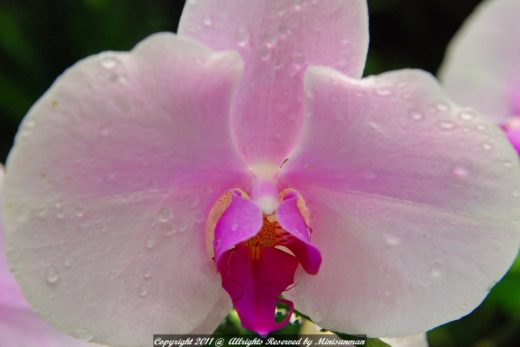 http://i.dcview.tw/gallery/201103/ee14146f71d5c1712eead9d60e065f74.jpg