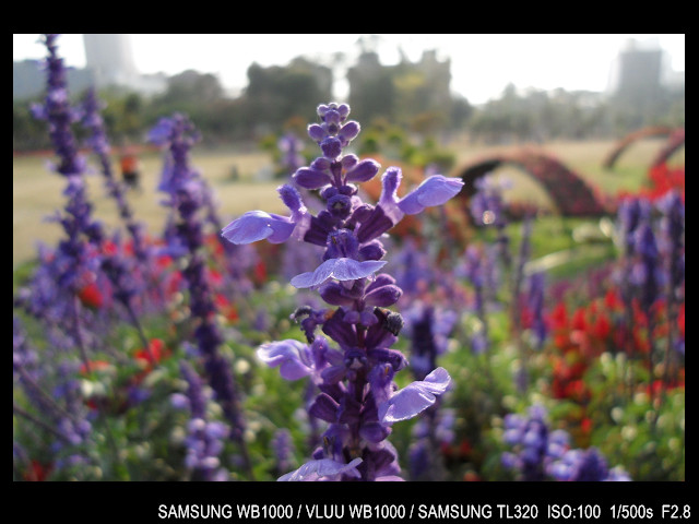 http://i.dcview.tw/gallery/201103/f06e20bc53d32345b67ba5e474e8439e.jpg