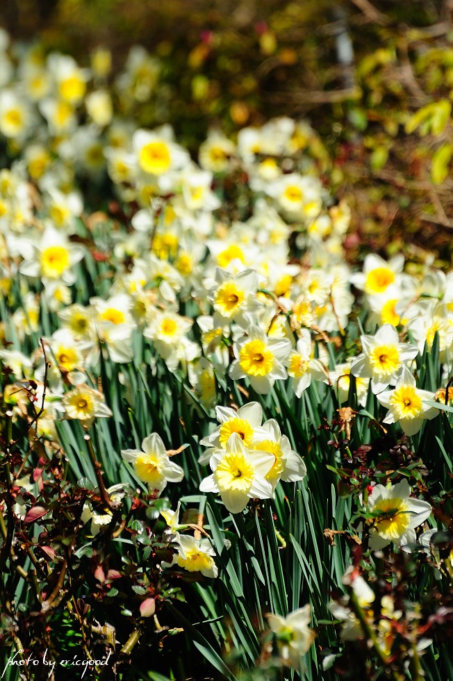 http://i.dcview.tw/gallery/201103/f9099cdeab417cb9c58c39bc17f4a352.jpg