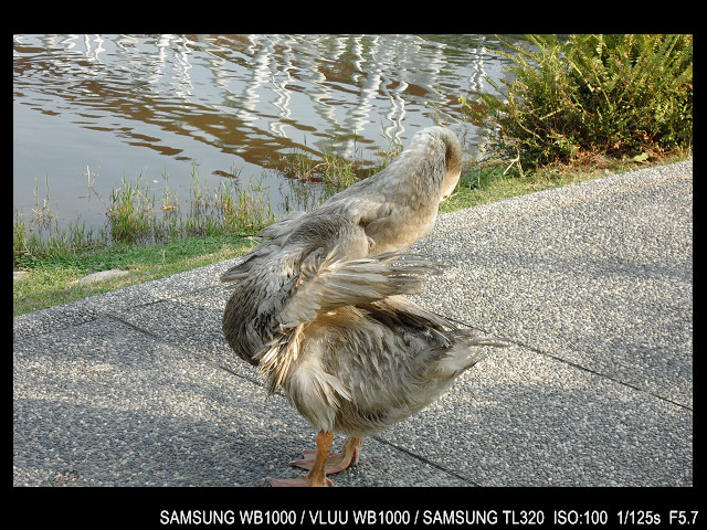 http://i.dcview.tw/gallery/201103/f913394d4dbfe5944ca0ab9957eb39b7.jpg