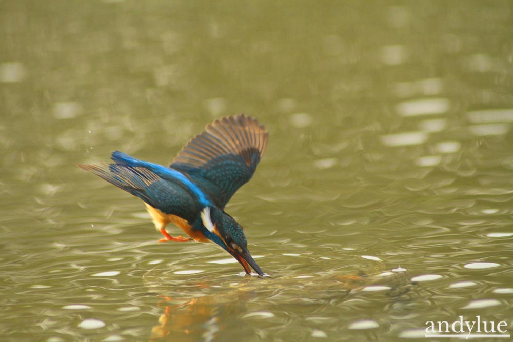 http://i.dcview.tw/gallery/201103/ff5d8104392911d6ab67a994122ddf39.jpg