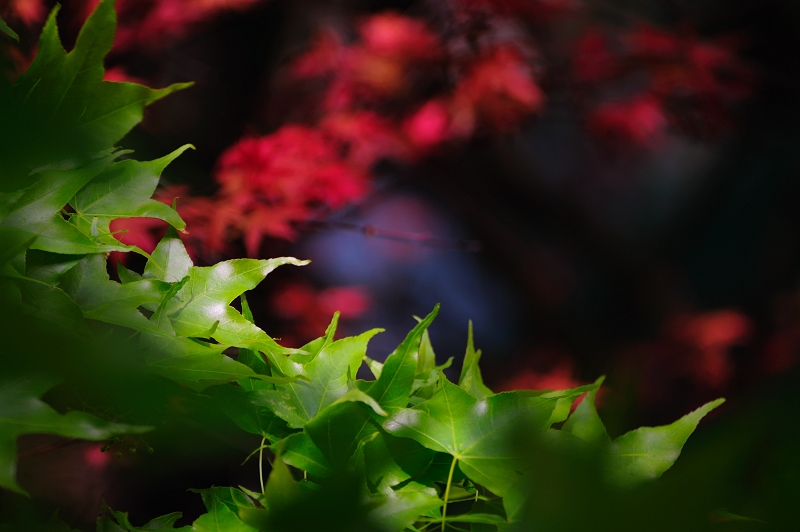 http://i.dcview.tw/gallery/201104/0cbddf4574f320f93c9413fdee13a89f.jpg