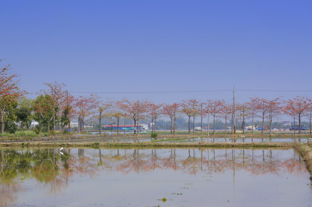 http://i.dcview.tw/gallery/201104/2ca9d74c12ee1c42723035f6472f7370.jpg