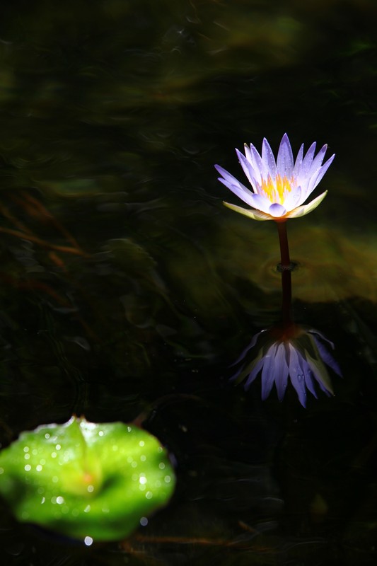 http://i.dcview.tw/gallery/201104/3e009f27c17ad4c33d7d8ee1af55e800.jpg