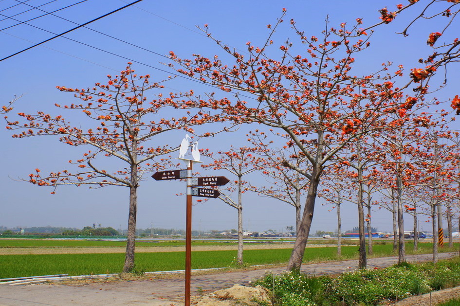 http://i.dcview.tw/gallery/201104/3f0b39b9c7c0a8c0c58c267408210e10.jpg