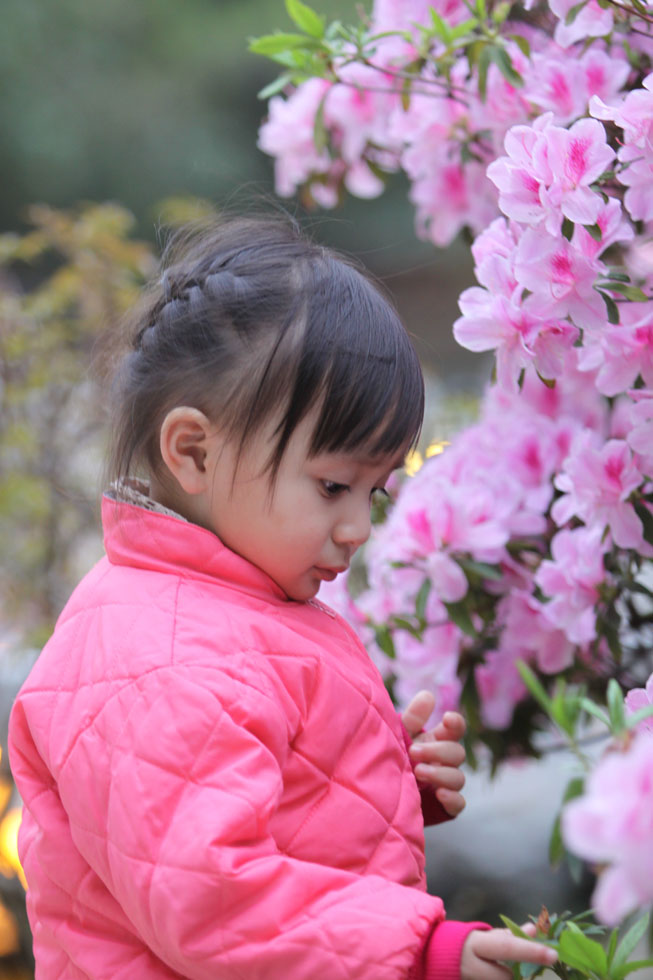 http://i.dcview.tw/gallery/201104/4360c98c0d688488bc3478891c57a43d.jpg