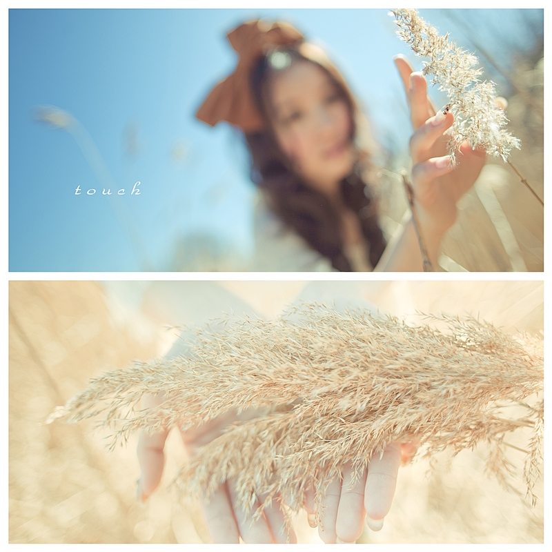 http://i.dcview.tw/gallery/201104/4b5f720a58a90731f05f41d836636a69.jpg