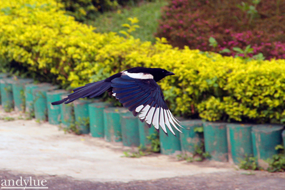 http://i.dcview.tw/gallery/201104/53e6713912e9fb490b3133bbba5d558c.jpg