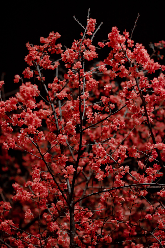 http://i.dcview.tw/gallery/201104/60e5b22fb768faec349b08035b16269f.jpg