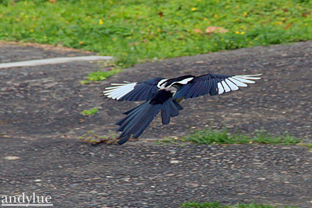 http://i.dcview.tw/gallery/201104/63513185007fe2344afeec9fa05386da.jpg