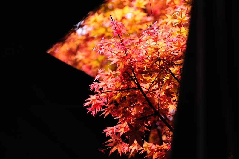 http://i.dcview.tw/gallery/201104/660e27da27806fa68bc955690bedea45.jpg