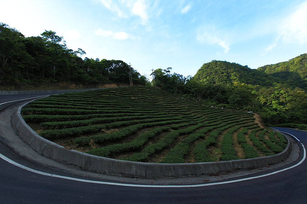 http://i.dcview.tw/gallery/201104/70ef2a574164294d46923a139502878a.jpg
