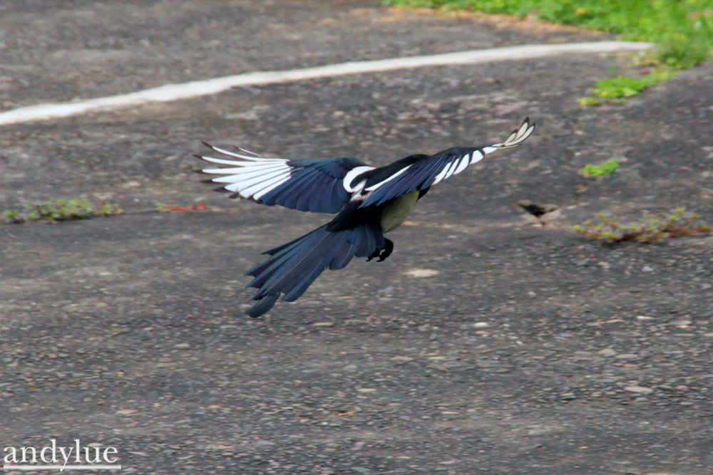 http://i.dcview.tw/gallery/201104/78acd02d66854d9ce030bdbdb5685b57.jpg