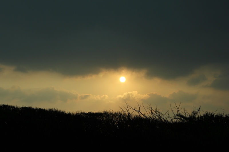 http://i.dcview.tw/gallery/201104/7b1cad9fc7450575750e56a45144c9c9.jpg