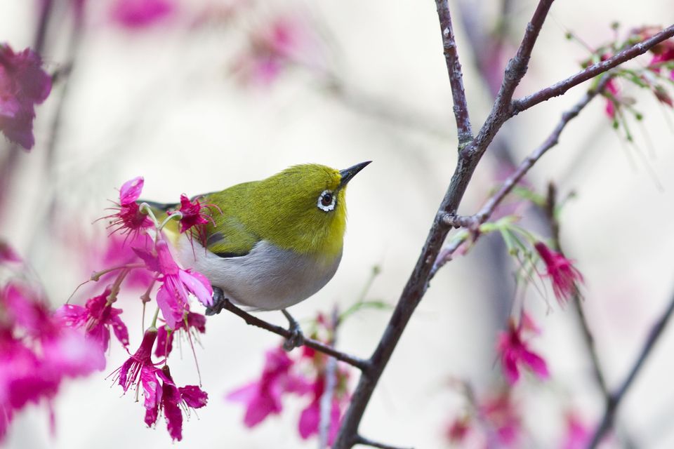 http://i.dcview.tw/gallery/201104/837fa3b8ad0336490a14ec083d68397e.jpg