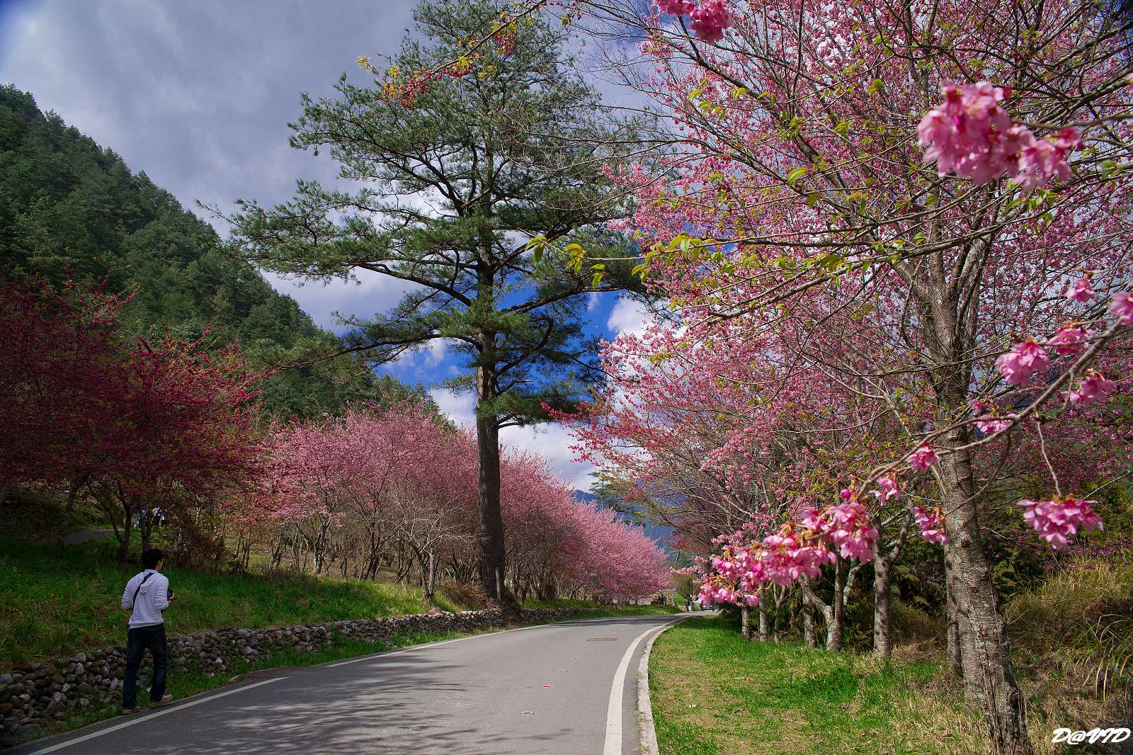 http://i.dcview.tw/gallery/201104/84f1a70a04f1e31cd8ed34a96c13a208.jpg