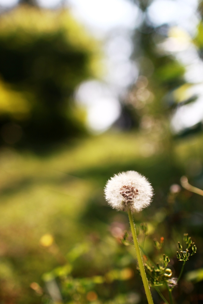 http://i.dcview.tw/gallery/201104/870d74d72a638aaa03f7b8126ede10ed.jpg