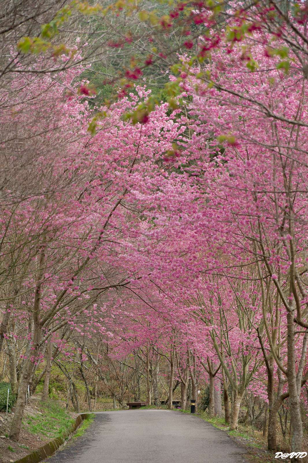http://i.dcview.tw/gallery/201104/946497a352fc1dcd080d20d5426ade3a.jpg