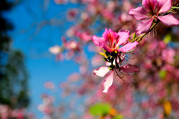 http://i.dcview.tw/gallery/201104/a6ba066173a4f989a3f8a24f04932f82.jpg