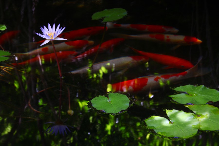 http://i.dcview.tw/gallery/201104/aca37a944affdafeab27ca27f87af1f6.jpg