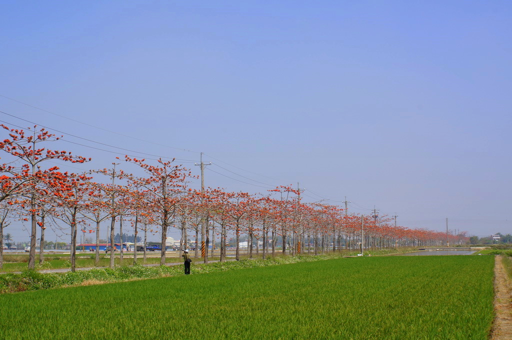 http://i.dcview.tw/gallery/201104/b2f50b712a6ac34b38412c294405f341.jpg