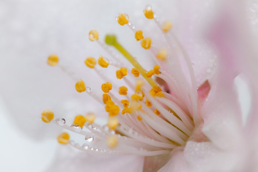 http://i.dcview.tw/gallery/201104/b8f92ef1c005a299cab0bb9c31eb1ac2.jpg