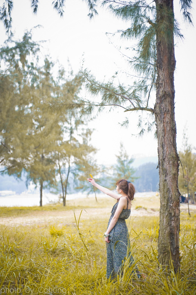 http://i.dcview.tw/gallery/201104/bed0faaf5912c6276531543f9da62c33.jpg