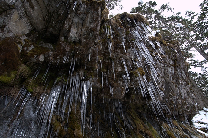 http://i.dcview.tw/gallery/201104/c43e273d5bb0ae71078319bdc2d0478f.jpg