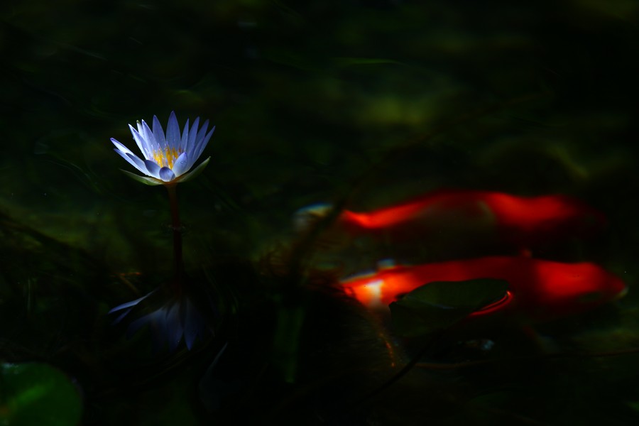 http://i.dcview.tw/gallery/201104/c5a7588e94ff90d0c7145f5f9a4fd226.jpg