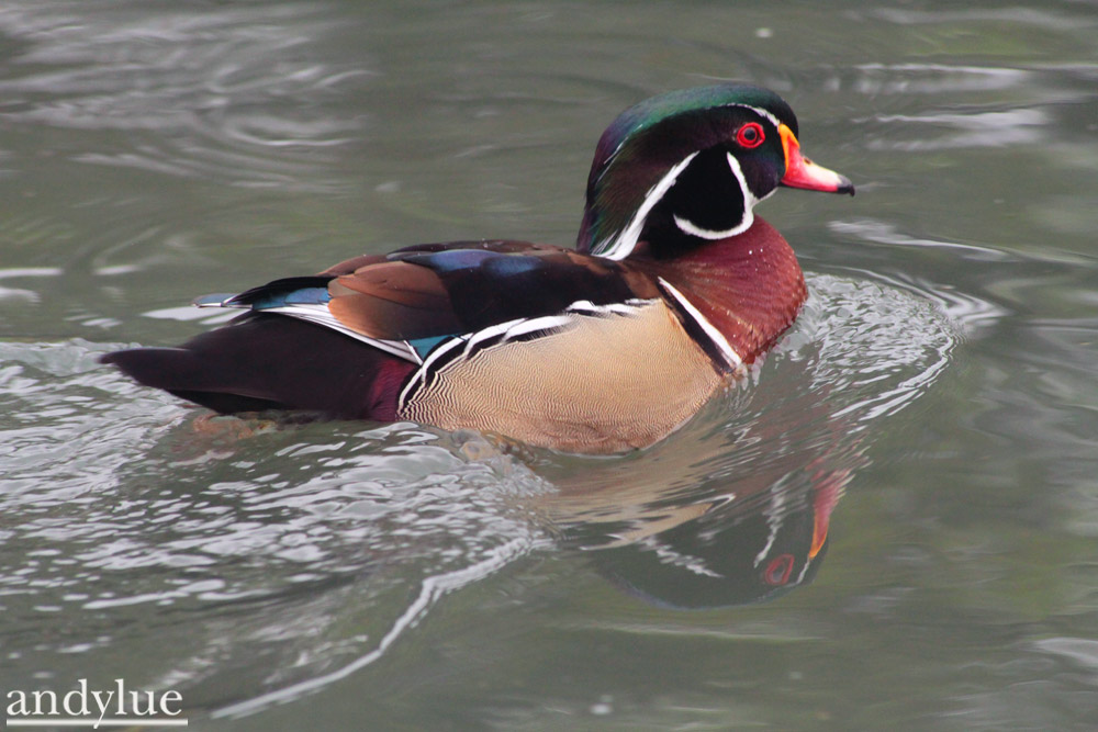 http://i.dcview.tw/gallery/201104/c6acd57bc63c7ca03b3faefb42c12545.jpg