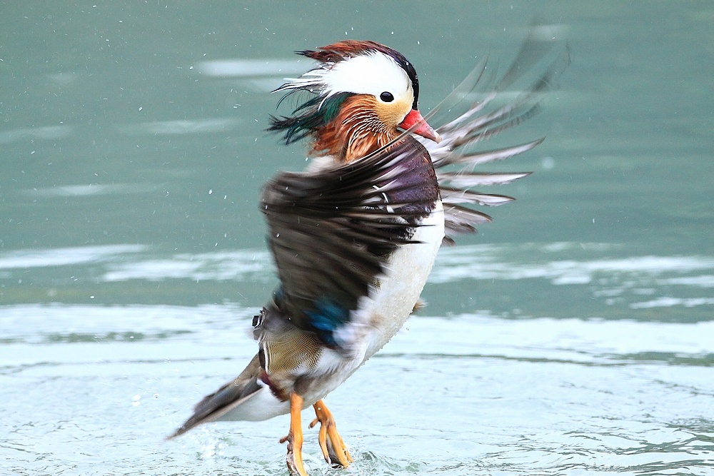 http://i.dcview.tw/gallery/201104/c829c4e78e5f0754dea4f74d353e9842.jpg