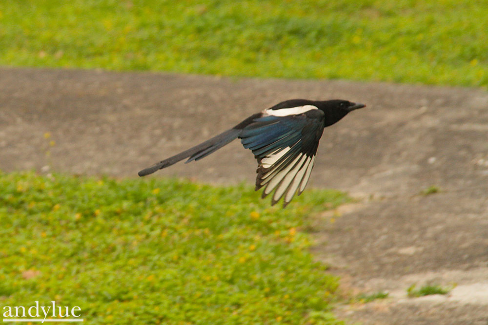 http://i.dcview.tw/gallery/201104/d144b5bafe6c8032e9097a4e841ac5ec.jpg