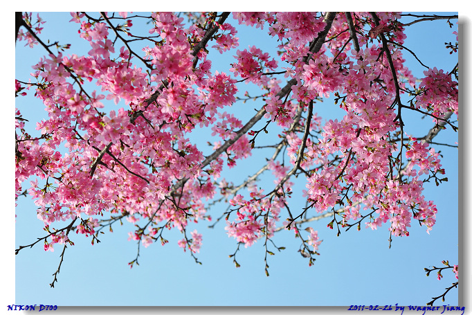 http://i.dcview.tw/gallery/201104/d53cb39c0f61c9a0b981268eba4848c5.jpg
