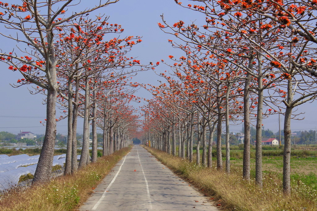 http://i.dcview.tw/gallery/201104/d60cc567744975cbeed450c27d91cbcf.jpg